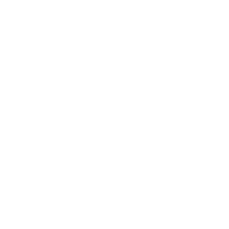 Technology Solutions