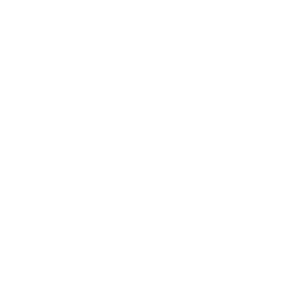 AI and ML Services